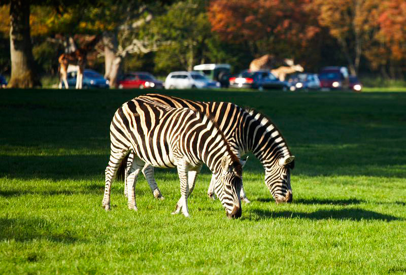 _mg_5552.jpg