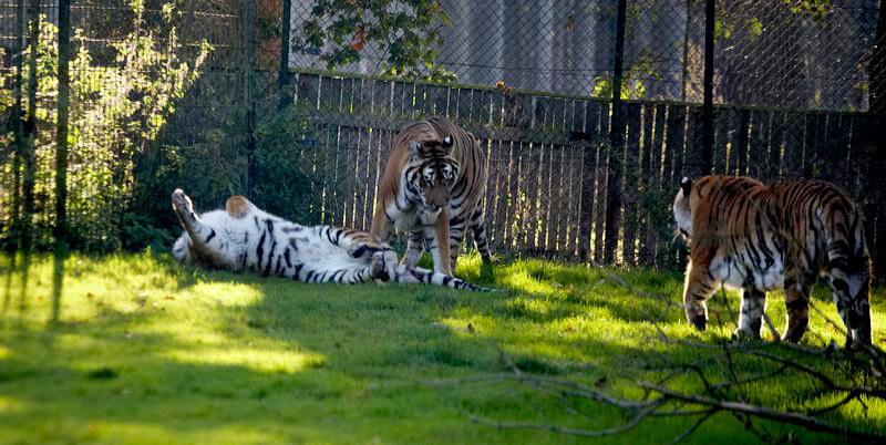 _mg_5579.jpg