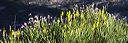 _mg_5161_hrns