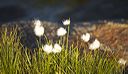 _mg_5173_hrns